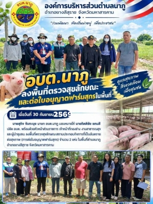 อบต.นาภู ลงพื้นที่ตรวจสุขลักษณะและต่อใบอนุญาตฟาร์มสุกรในพื้นที่