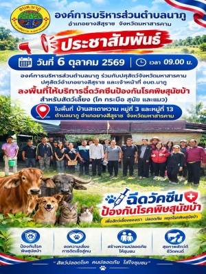 ลงพื้นที่ร่วมกับปศุสัตว์จังหวัดมหาสารคาม ปศุสัตว์อำเภอยางสีสุราช และเจ้าหน้าที่ อบต.นาภู ลงพื้นที่ให้บริการฉีดวัคซีนป้องกันโรคพิษสุนัขบ้าสำหรับสัตว์เลี้ยง (โค กระบือ สุนัข และแมว)