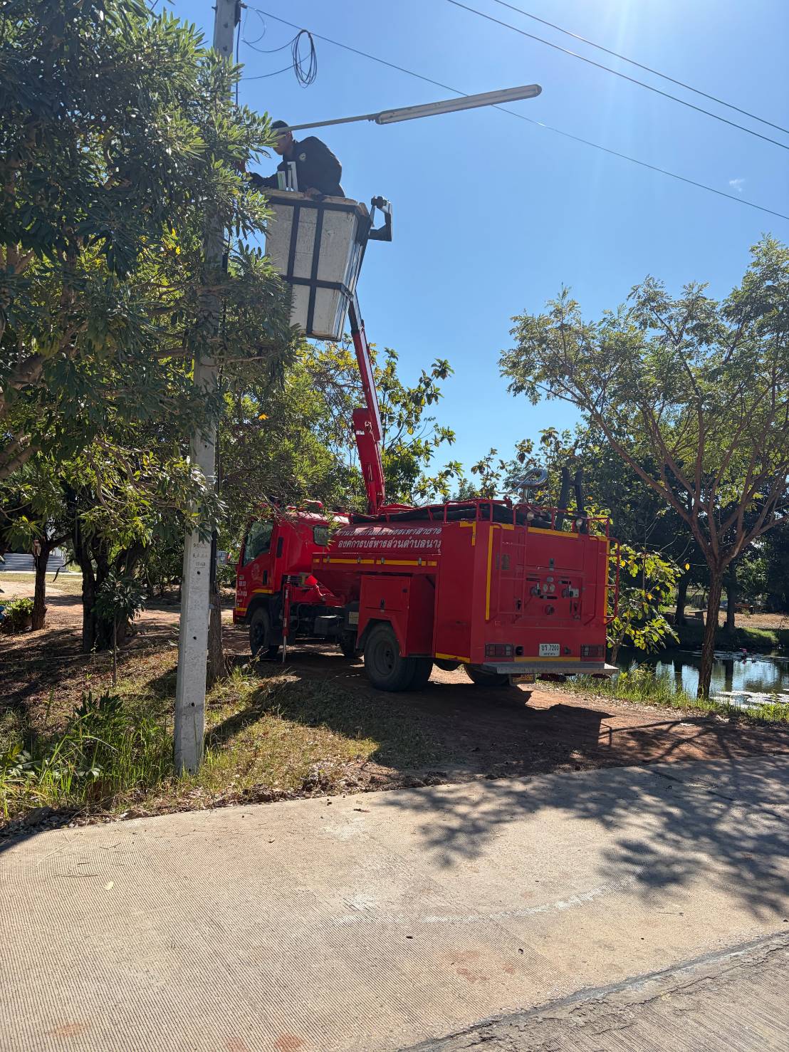 326096889 1236233933686392 8834859114771170507 n